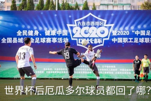 世界杯后厄瓜多尔球员都回了哪？输给墨西哥后他们各归其主